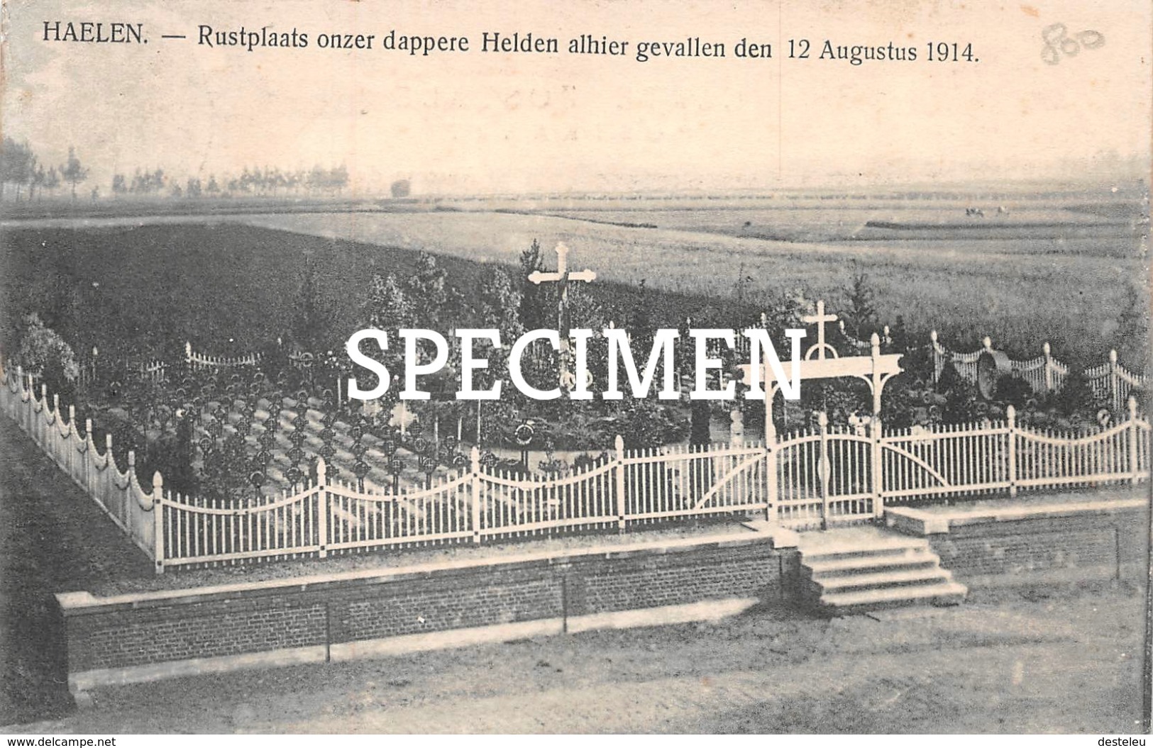 Rustplaats Onzer Dappere Helden Alhier Gevallen Den 12 Aug 1914 Haelen - Halen - Halen