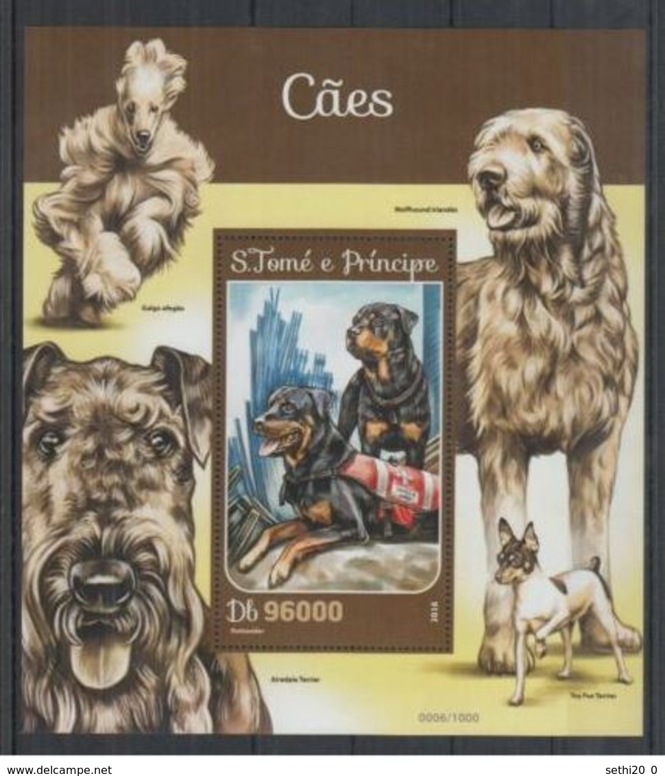 Saint Thomas 2016  Chiens Dogs Chien De Sauvetage MNH - Louis Pasteur