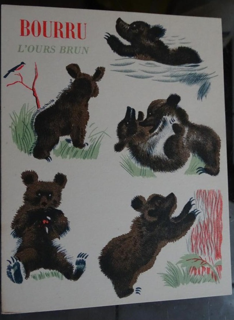 Image "albums Du Père Castor " Le Roman Des Bêtes "  - Bourru L'ours Brun - Publicités