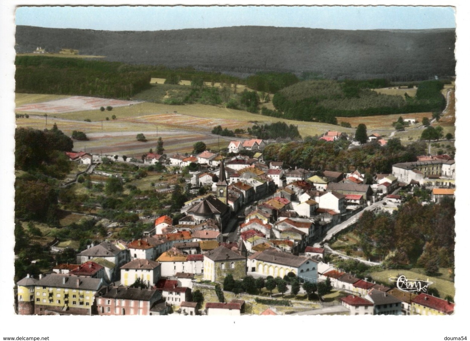 DARNEY (88) - Vue Panoramique - Le Centre De La Ville - Darney