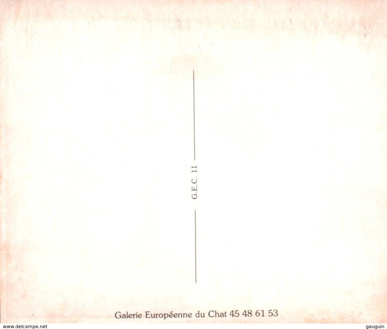CPM - CHAT - Carte Illustrée ... - Edition Galerie Européenne - Chats
