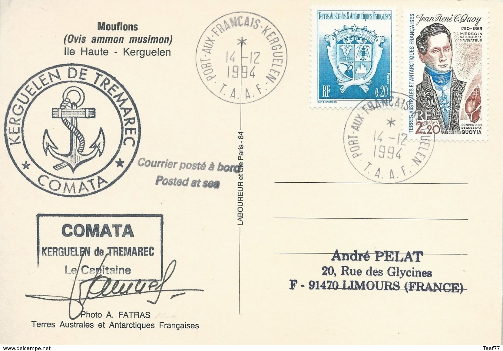 TAAF - Port Aux Français-Kerguelen: Carte "Kerguelen De Trémarec" Avec Timbres N°151 Quoy Et 171 Armoirie - 14/12/1994 - Briefe U. Dokumente