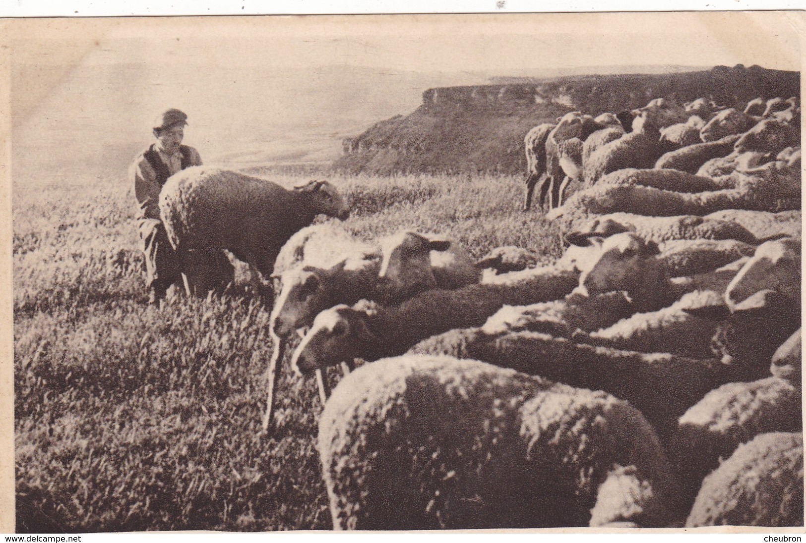 12. ROQUEFORT. 3 CPA. LA TRAITE A LA MAIN. SALLE D’EXPÉDITIONS. ATELIER DE PIQUAGE ET BROSSAGE. SOCIETE - Roquefort