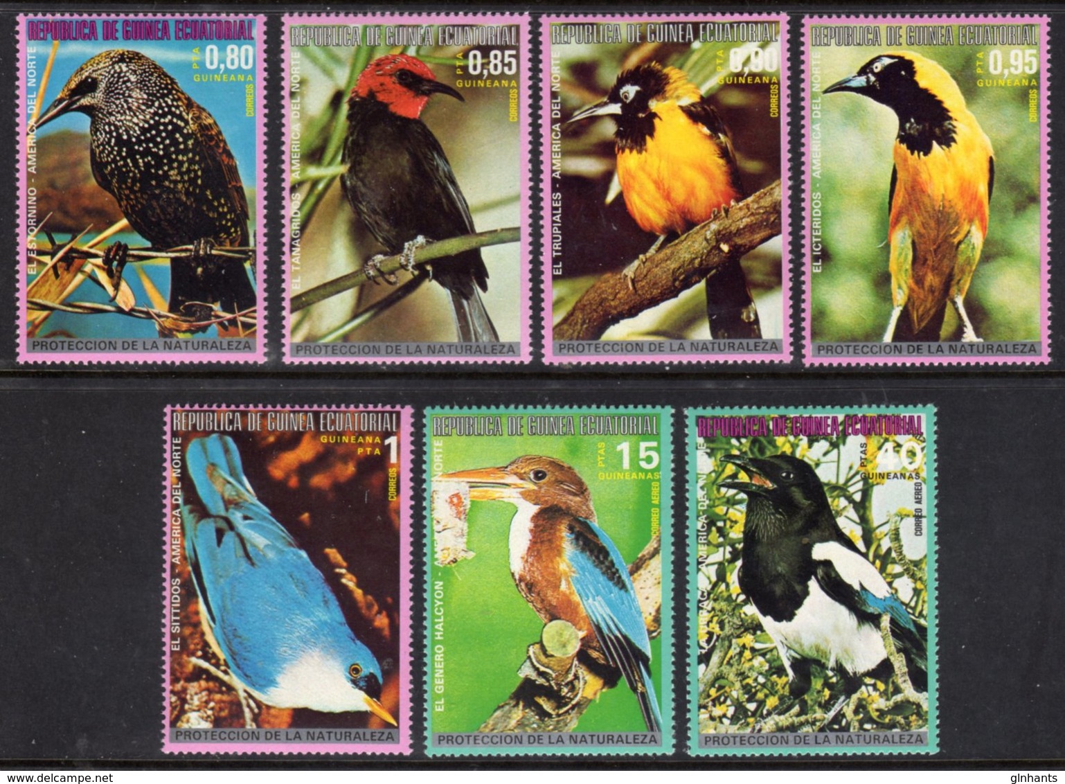 EQUATORIAL GUINEA - 1976 NORTH AMERICAN BIRDS COMPLETE SET (7V) FINE MNH ** Mi 1007-1013 - Equatorial Guinea