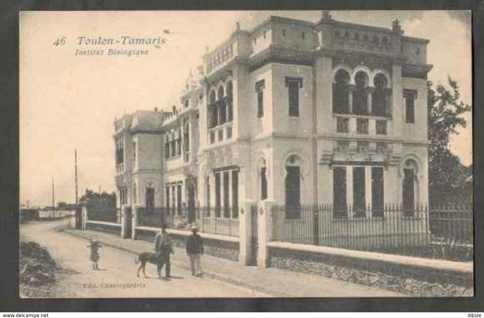 CPSM. France. Toulon. Tamaris. Institut Biologique. Petites Rousseurs. - Monumentos