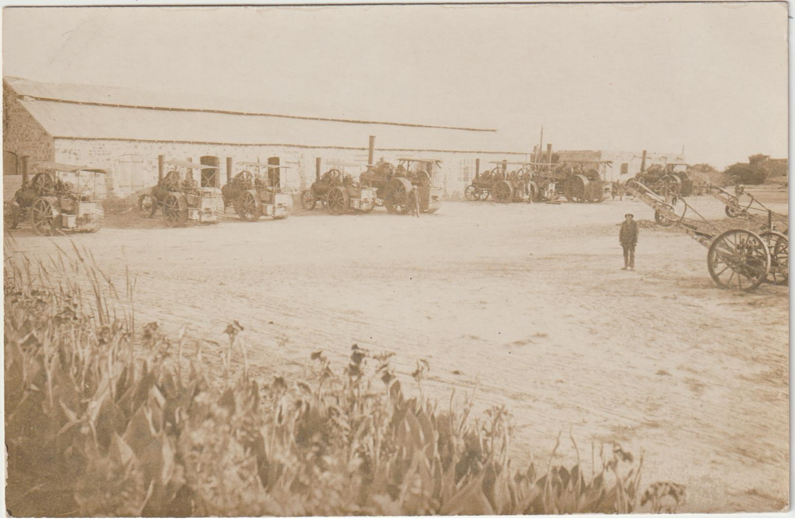 CPA  CARTE PHOTO  LES TRACTEURS A VAPEUR VENANT AU LA BOURAGE   AU SOUDAN - Tracteurs