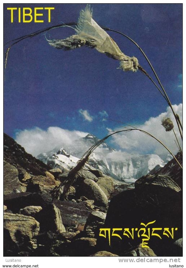 Tibet - Advertising Postcard - Carte Publicitaire ( 2 Scans ) - Tibet