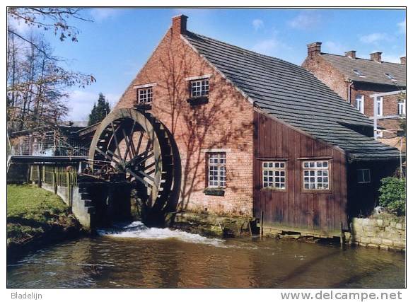 REPPEL Bij Bocholt (Limburg) - Molen/moulin - Fraaie Opname Van Cuppens Watermolen Of Reppelmolen In 2005. - Bocholt