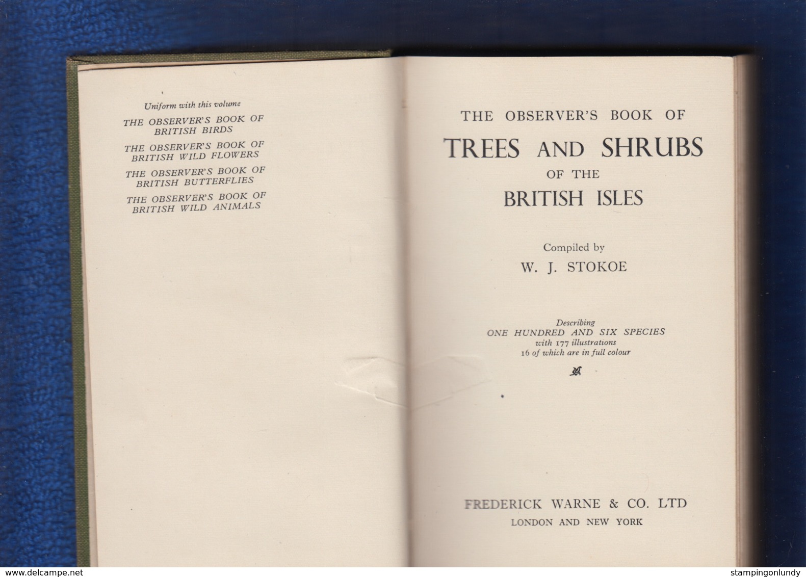 1938 The Observers Book Trees & Shrubs Of The British Isles Stokoe FREE UK P+P - 1900-1949