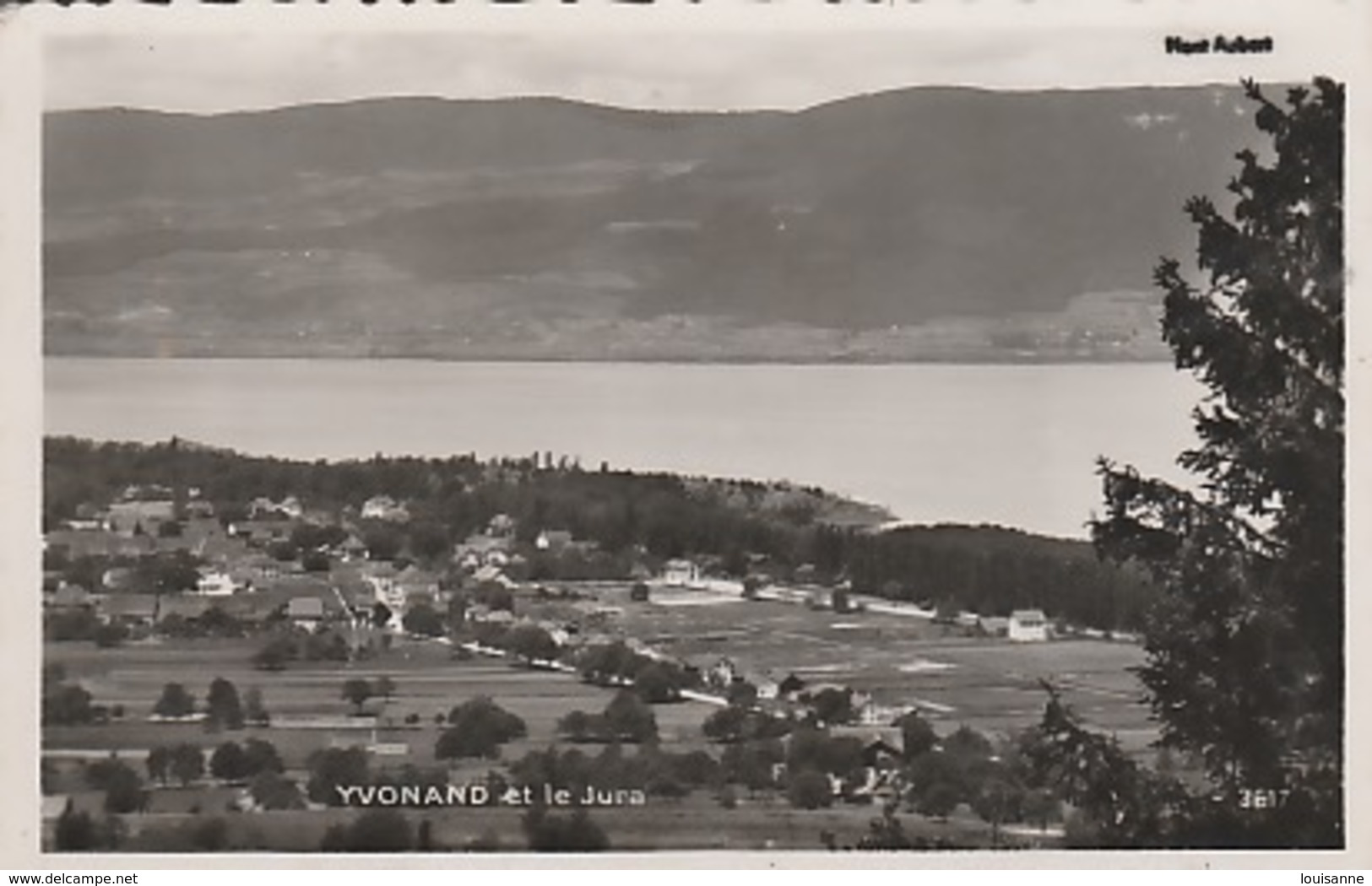 19. / 10 / 451  - YVONAND  ( VD )  ET  LE  JURA  - PANORAMA  - C P S M - Yvonand