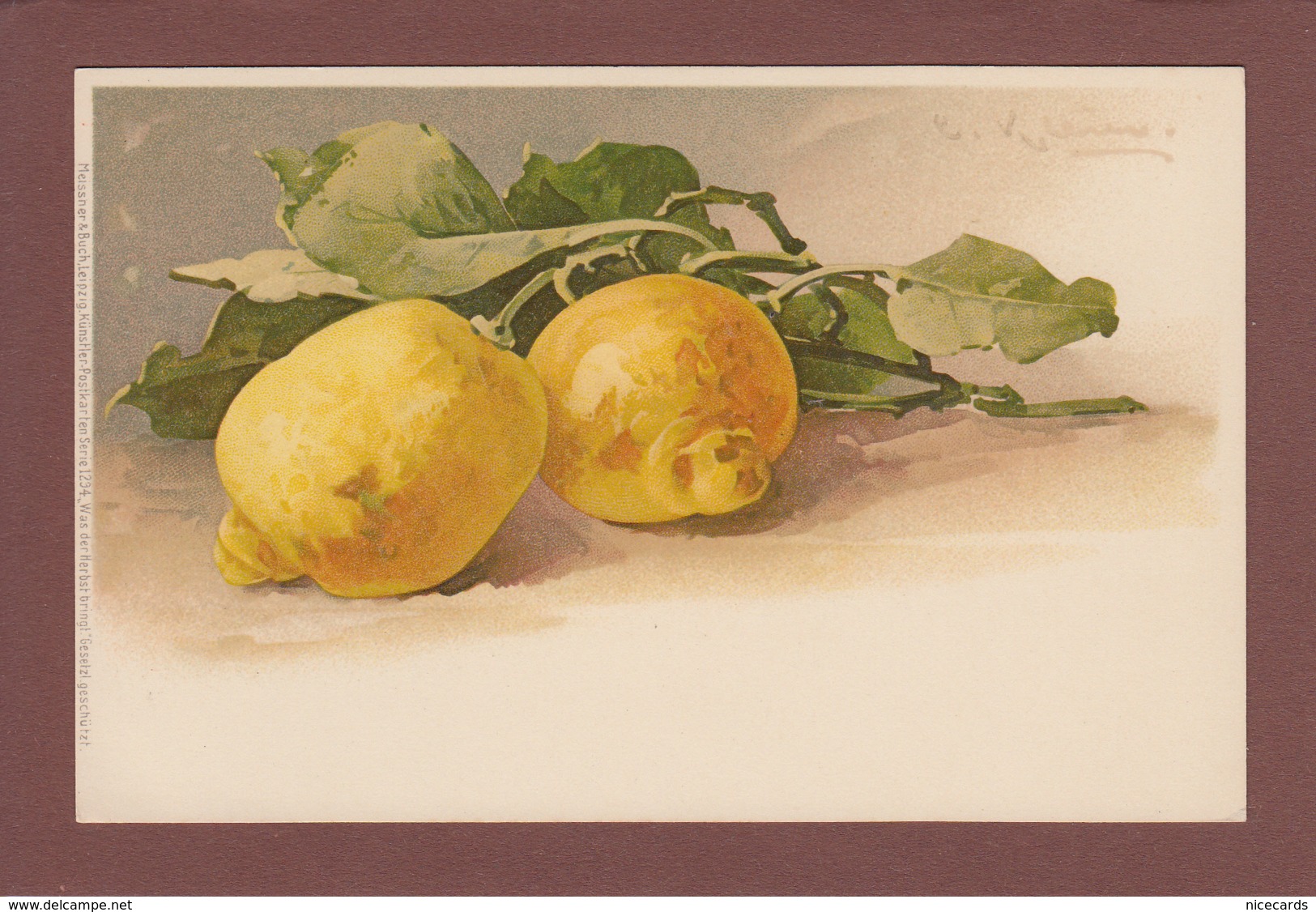Catharina KLEIN - Signé - Fruit - Citron - Klein, Catharina