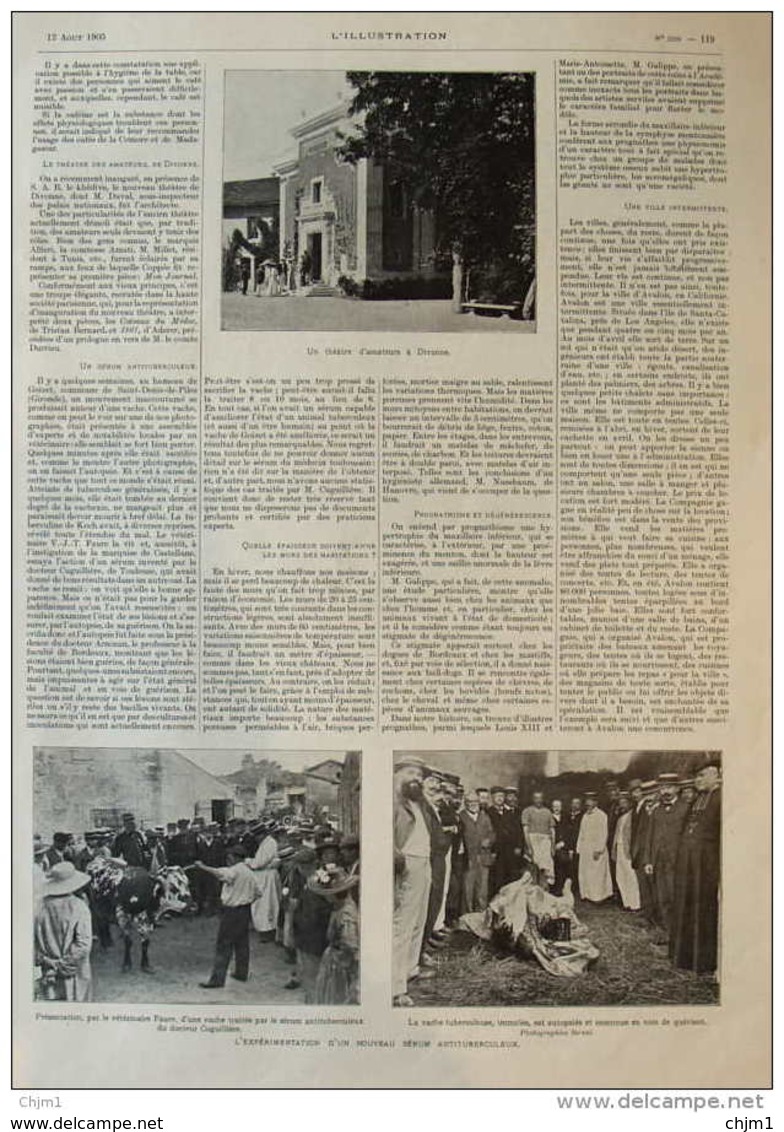 L'expérimentation D'un Nouveau Sérum Antituberculeux  - Le Vétérinaire Faure - Page Original  1905 - Documents Historiques