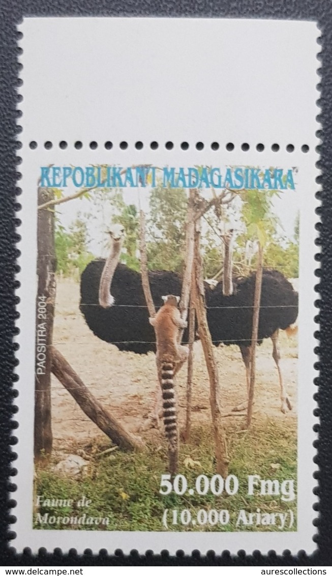 MADAGASCAR 2004 MICHEL Mi. 2626 BIRDS OSTRICH AUTRUCHE AUTRUCHES - RARE MNH - Straussen- Und Laufvögel