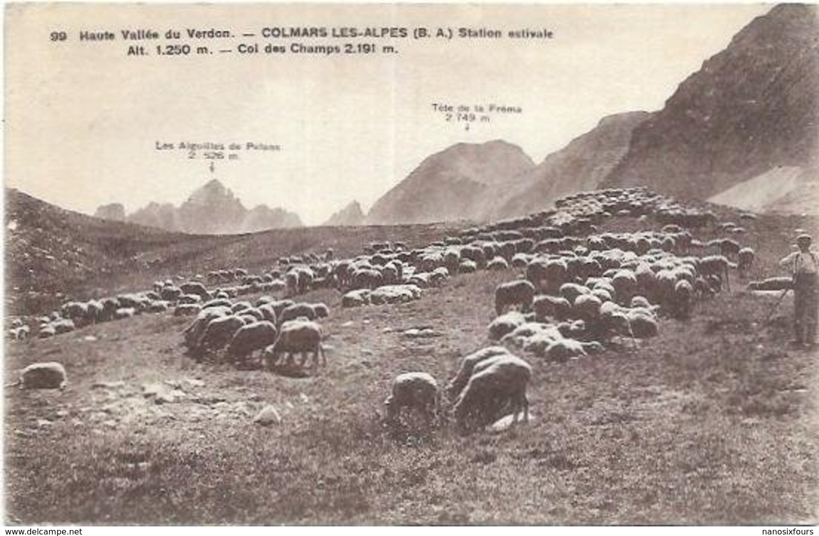 04.COLMARS LES ALPES.  COL DES CHAMPS TROUPEAU DE MOUTONS - Other & Unclassified