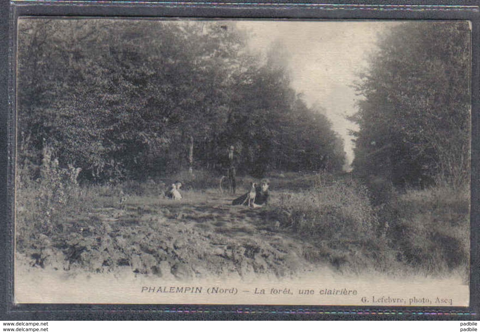 Carte Postale 59. Phalempin Une Clairière Dans La Forêt  Trés Beau Plan - Autres & Non Classés