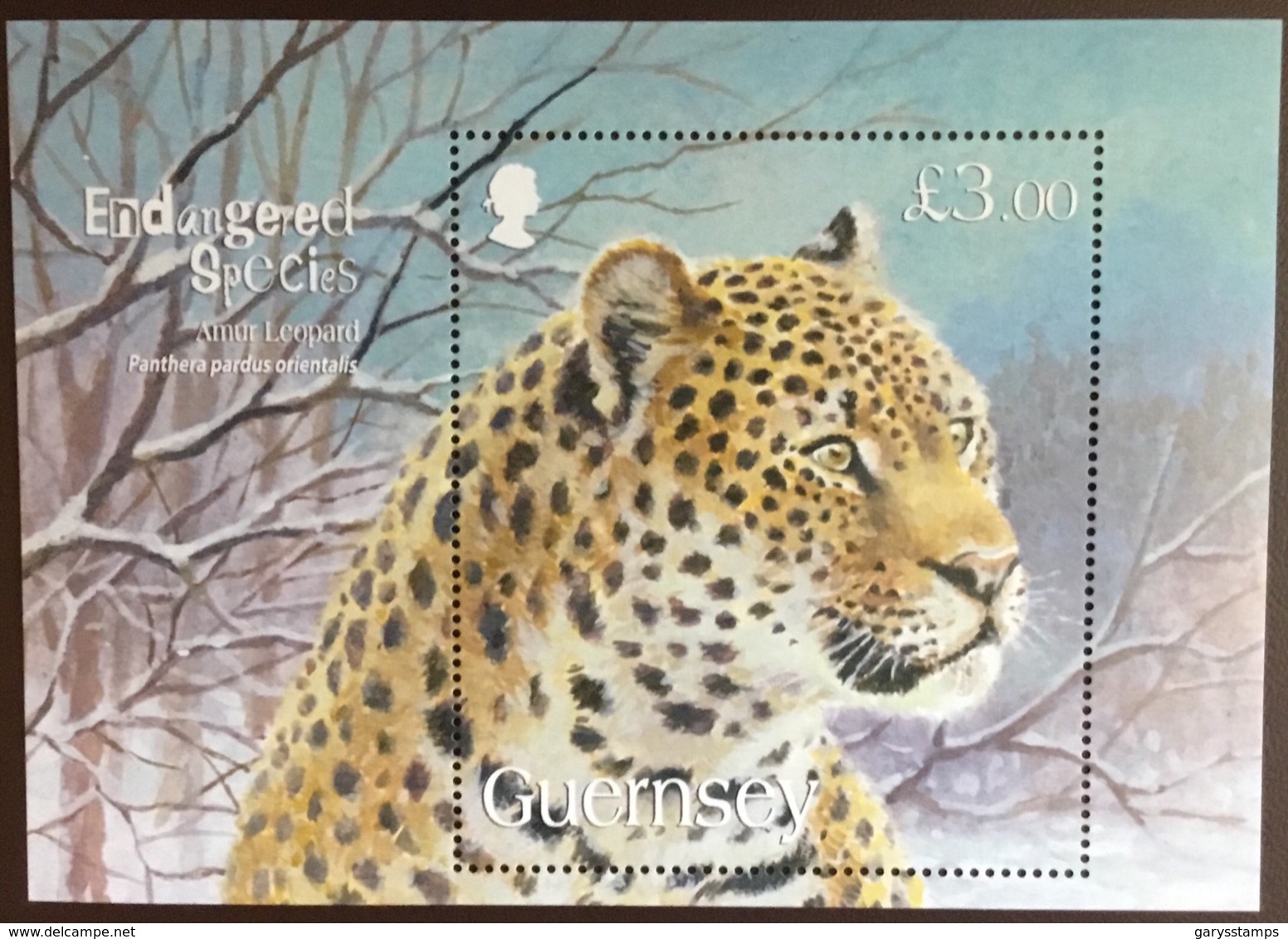 Guernsey 2009 Amur Leopard Minisheet MNH - Raubkatzen