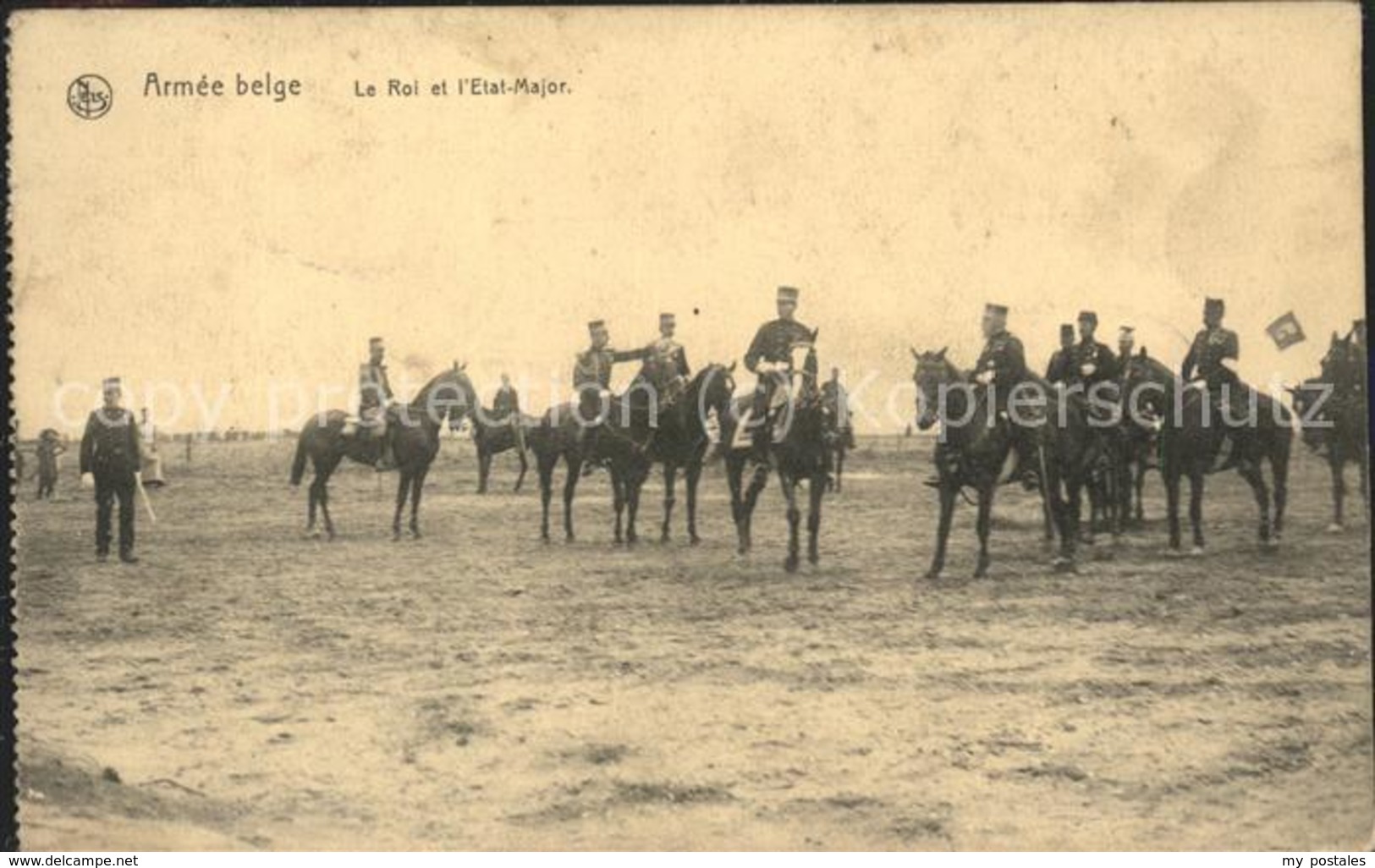 11496533 Belgien Armee Belge Pferde - Other & Unclassified