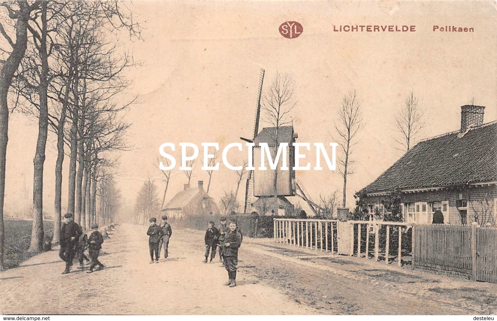 SYL Pelikaen - Lichtervelde - Lichtervelde