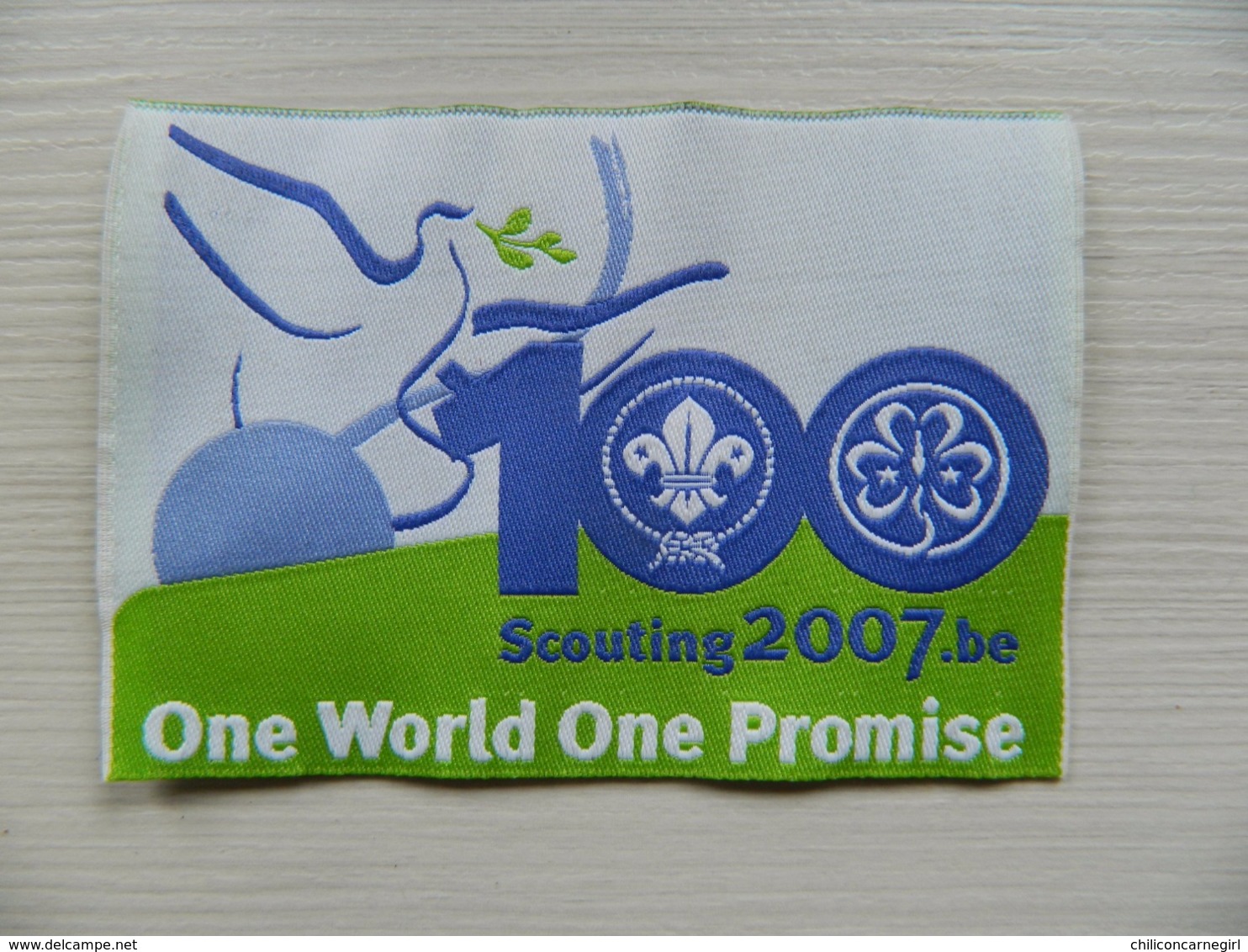 Ecusson Insigne Scout - Scoutisme - Boy Scouts - 100 Scouting 2007 One World One Promise Jamboree - BADEN POWELL - Scoutisme
