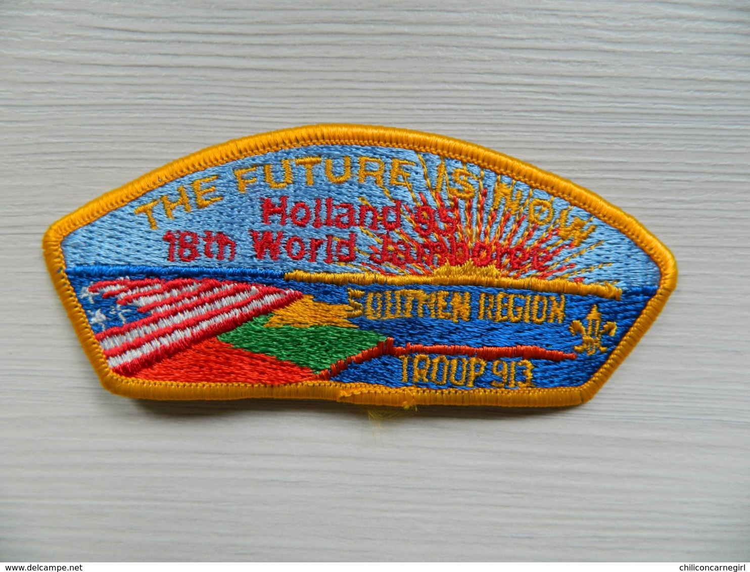 Ecusson Insigne Scout Scoutisme Boy Scouts The Future Is Now 18 Th World Jamboree Holland 95 Troup 913 - BADEN POWELL - Scoutisme