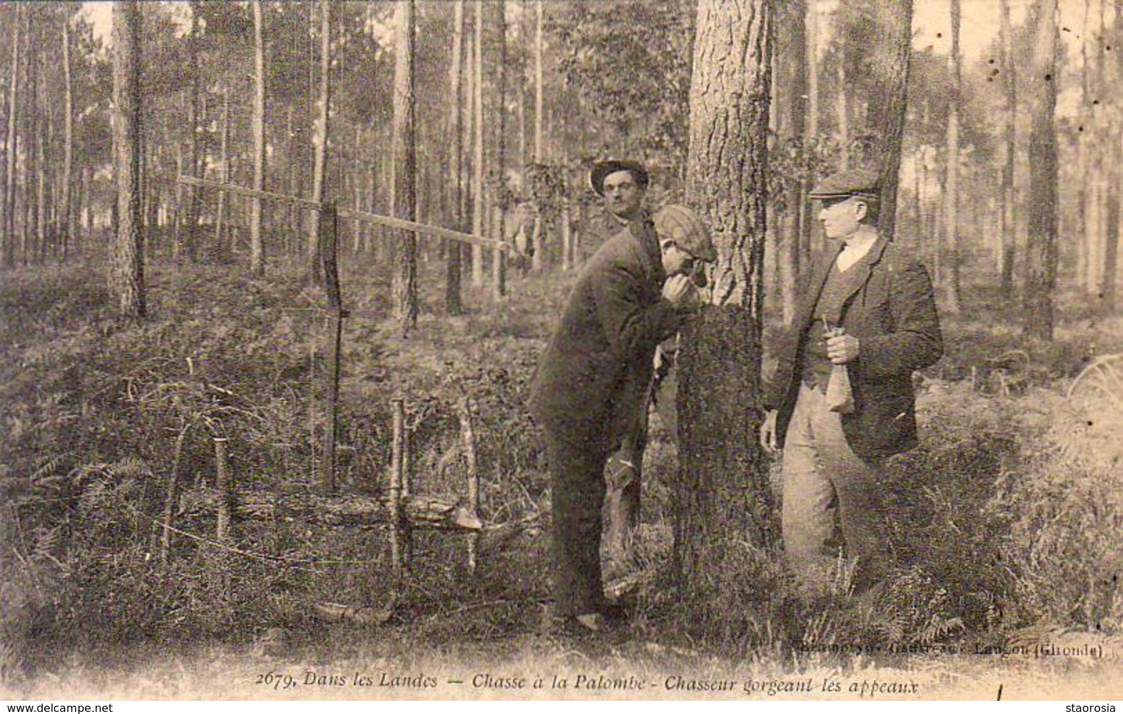 D40  Dans Les Landes Chasse à La Palombe Chasseurs Gorgeant Les Appeaux - Altri & Non Classificati