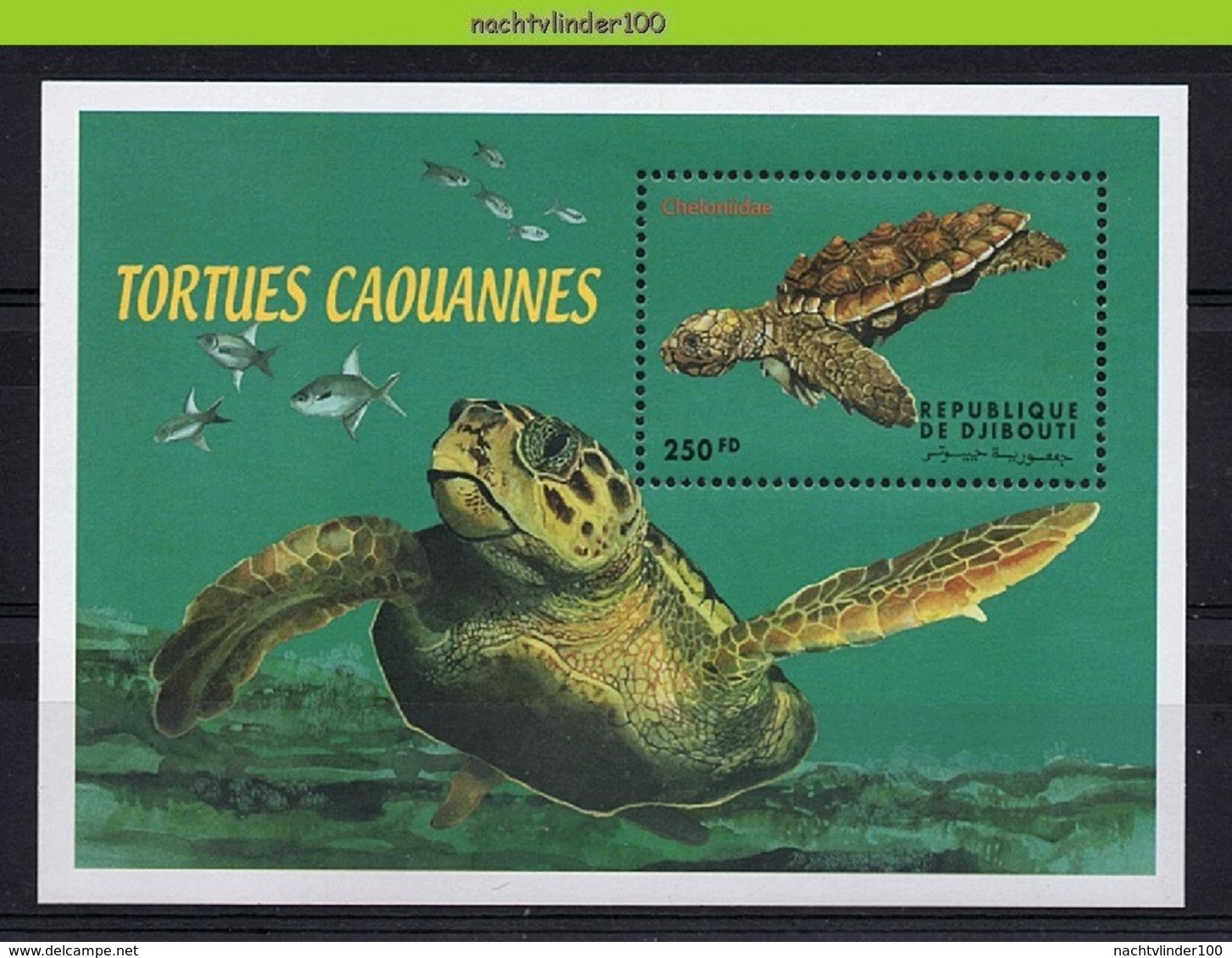 Nff142 FAUNA REPTIELEN SCHILDPAD REPTILES TURTLE SCHILDKRÖTEN DJIBOUTI 2000 PF/MNH - Schildpadden