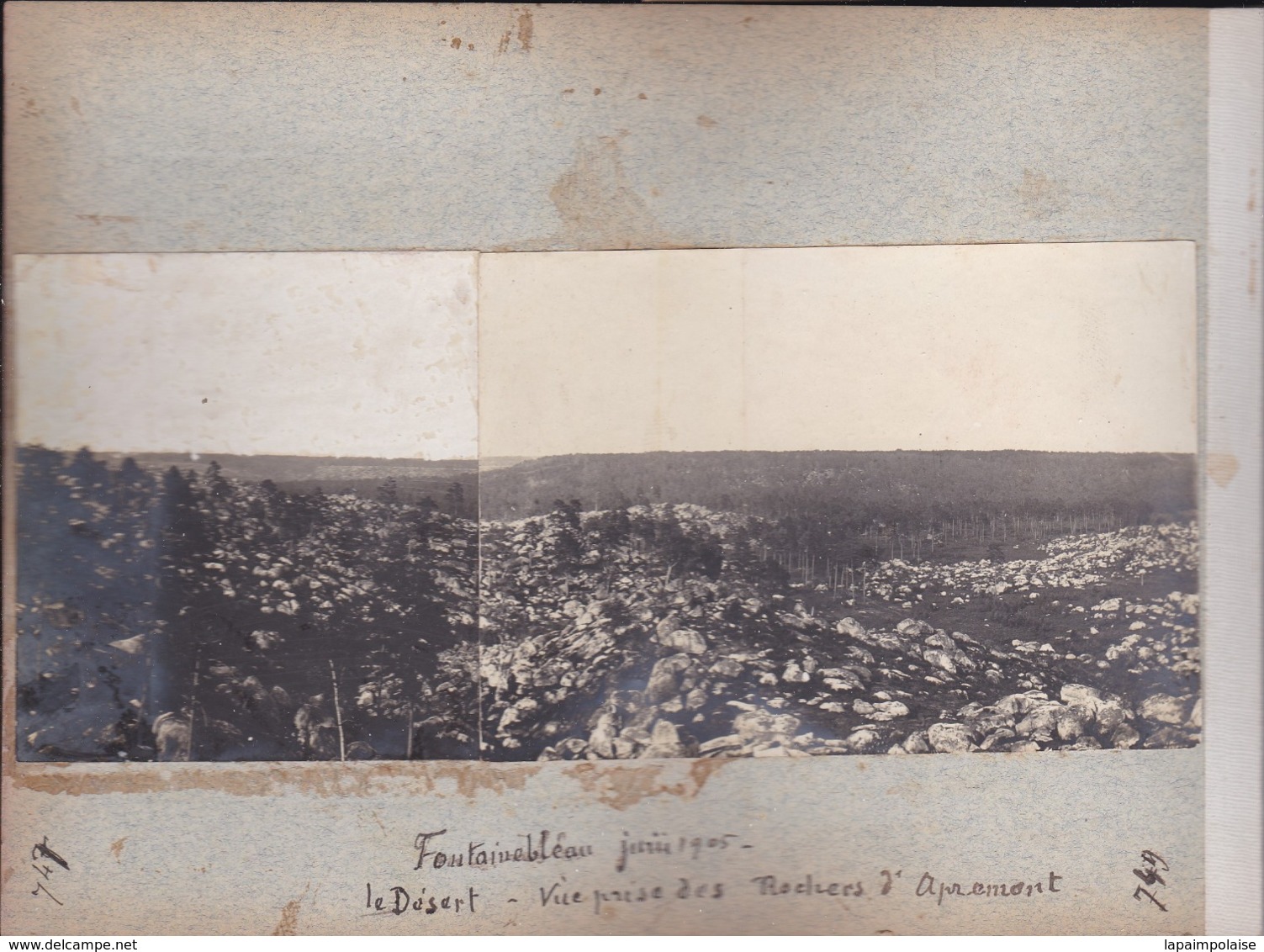 8 Photographies  Fontainebleau Ensemble De 8 Photographies De Particulier Toutes Situés RARE ( Ref 191180) - Orte