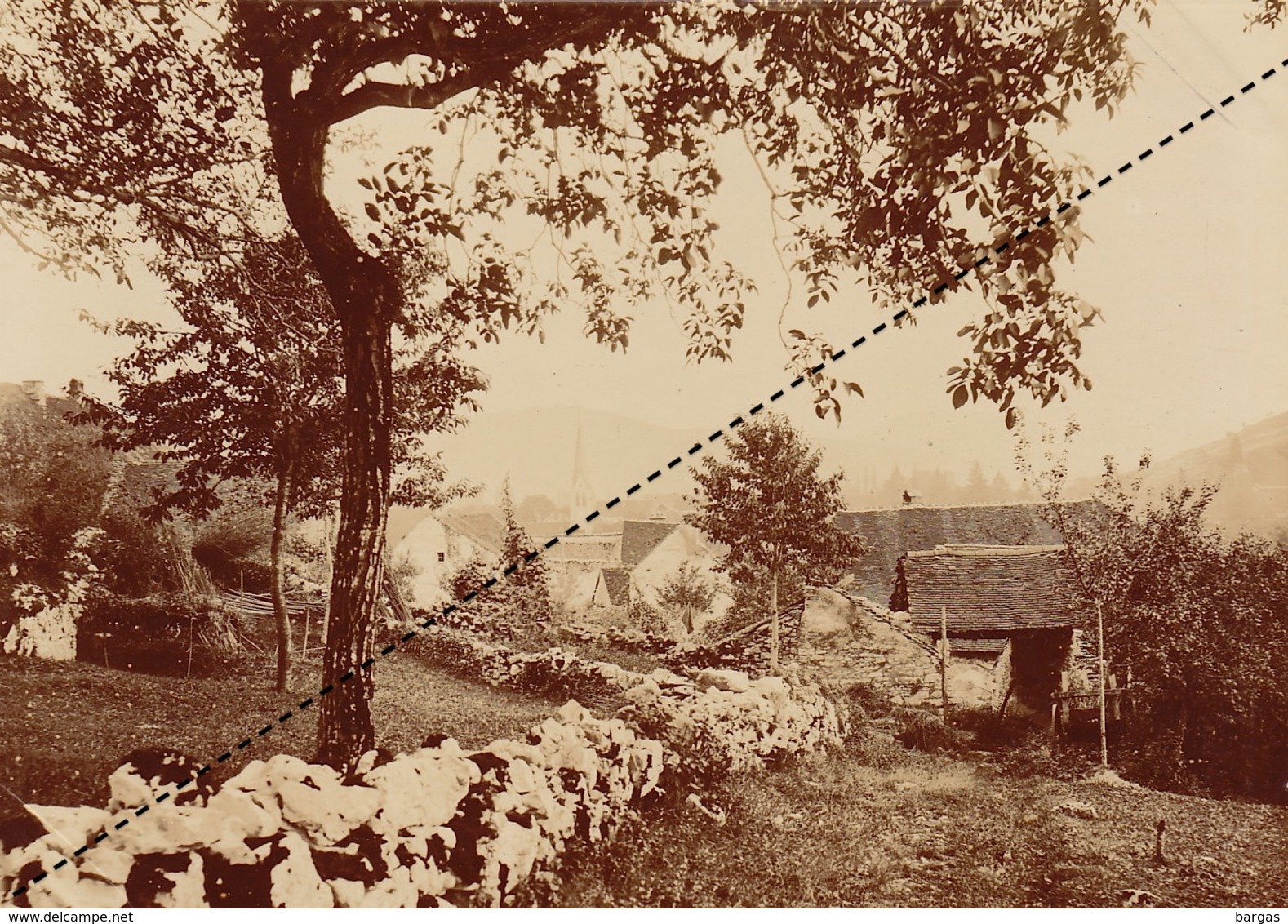 Rare Photo De 1895 PORT LESNEY Vue Prise Du Haut Du Village Jura Bourgogne -Franche-Comte Environ 17x12cm - Orte