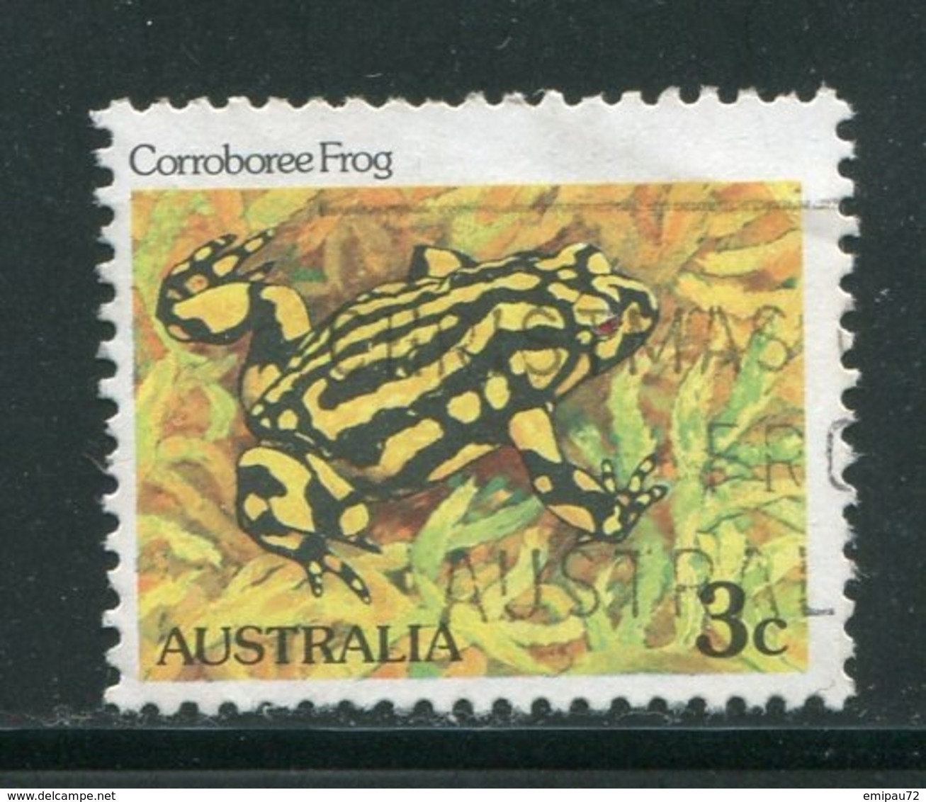 AUSTRALIE- Y&T N°767- Oblitéré (grenouilles) - Grenouilles