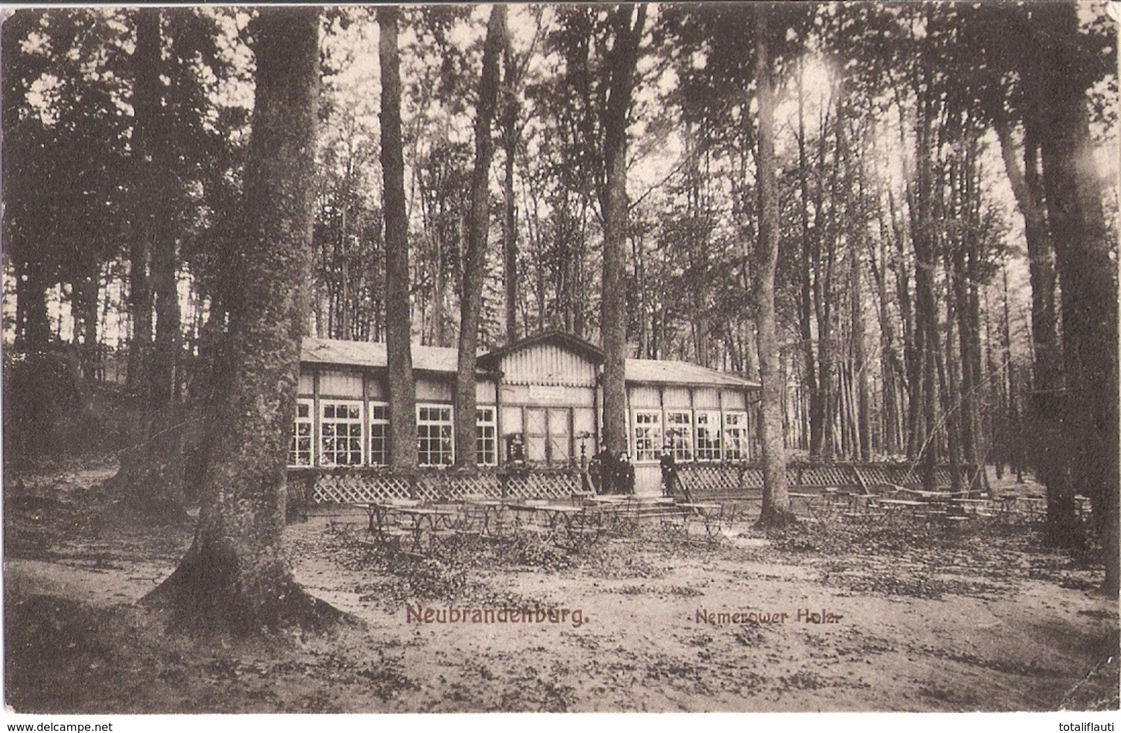 NEUBRANDENBURG Ausflugs Gaststätte Nemerower Holz Belebt Feldpost Datiert 22.7.1910 - Neubrandenburg