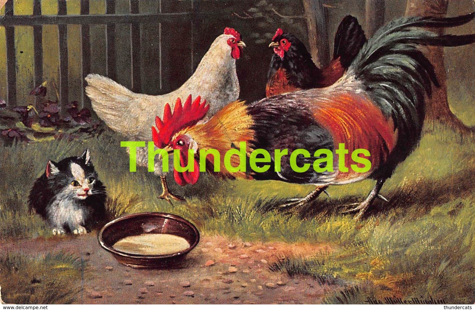 CPA ILLUSTRATEUR ARTIST SIGNED AUGUST MULLER  POULET CHICKEN CHAT CAT ROOSTER COQ - Müller, August - München