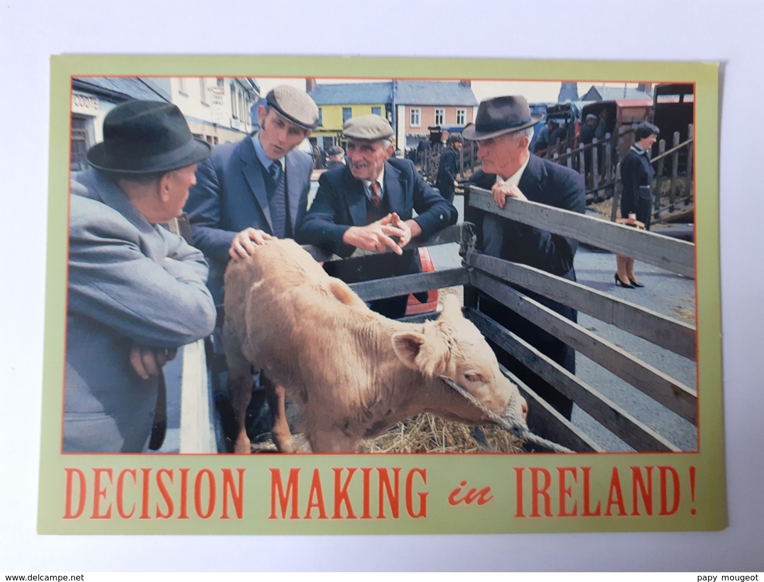 DECISION MAKING IN IRELAND ! - Altri & Non Classificati