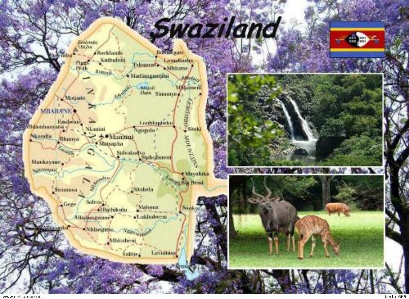 Swaziland Eswatini Country Map New Postcard Swasiland Landkarte AK - Swaziland