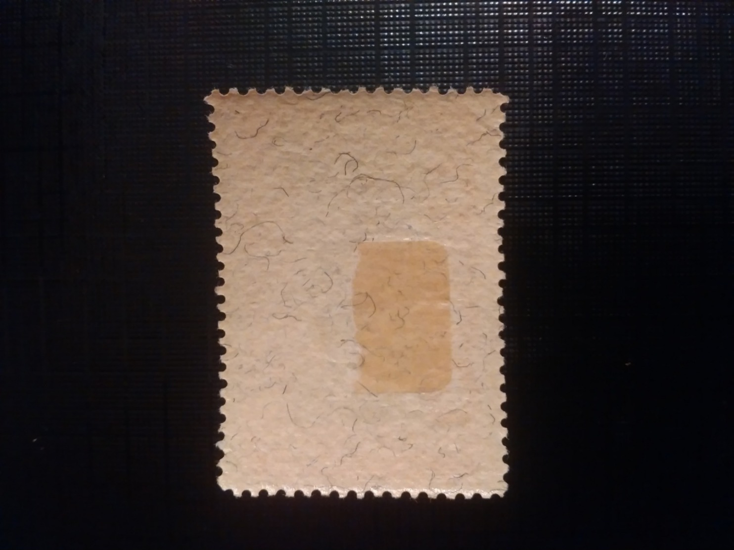 Austria 1919 Parliament Building 4k Carmine Black Center Inverted Scott (222a) Rare Stamp Mint Hinged Condition - Nuovi