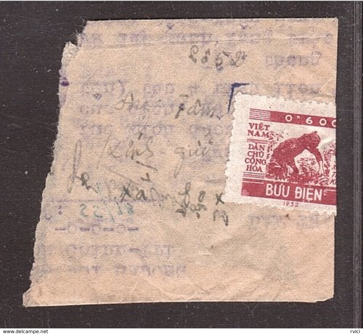 NORTH VIET NAM NORD Riz Rice Monnaie 0k600 Sur Large Fragment Lettre - Viêt-Nam