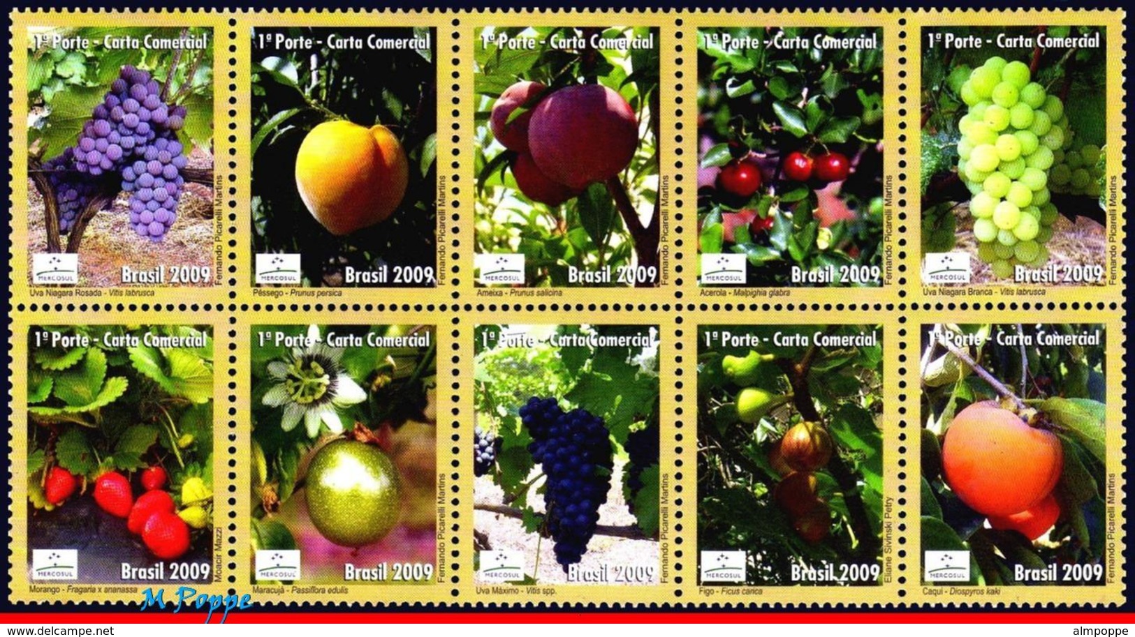 Ref. BR-3089 BRAZIL 2009 FRUITS, EXPORT PRODUCTS, MERCOSUR, SERIES, RURAL TOURISM, SET MNH 10V Sc# 3089 - Unused Stamps