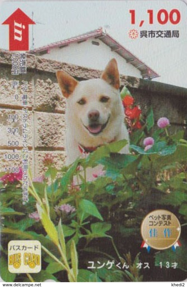 Carte Prépayée Japon - ANIMAL - CHIEN Japonais Genre Akita -  DOG Japan Prepaid Card / V 4 - HUND - Hiro 1172 - Honden