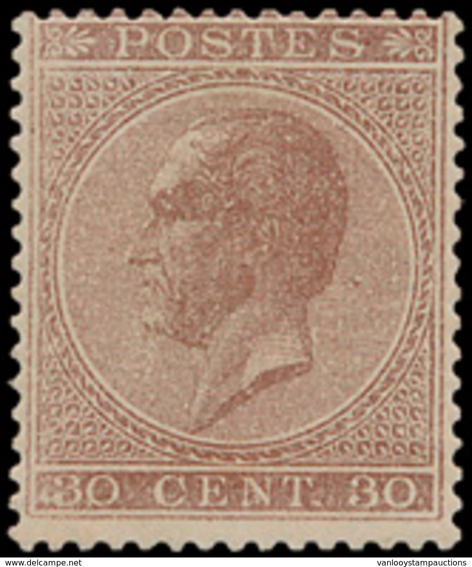 * N° 19Aa '30 Cent. Lichtbruin' - 1865-1866 Profile Left