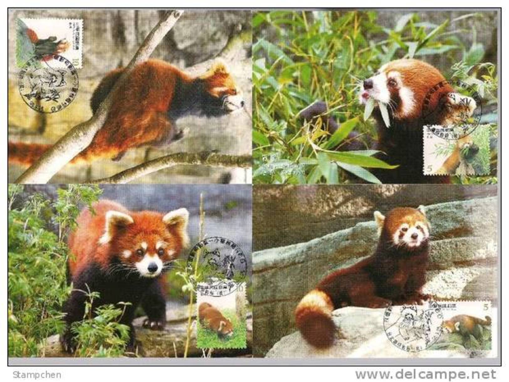 Maxi Cards Taiwan 2007 Cute Animal - Lesser Panda Stamps Fauna  Bamboo Bear - Tarjetas – Máxima