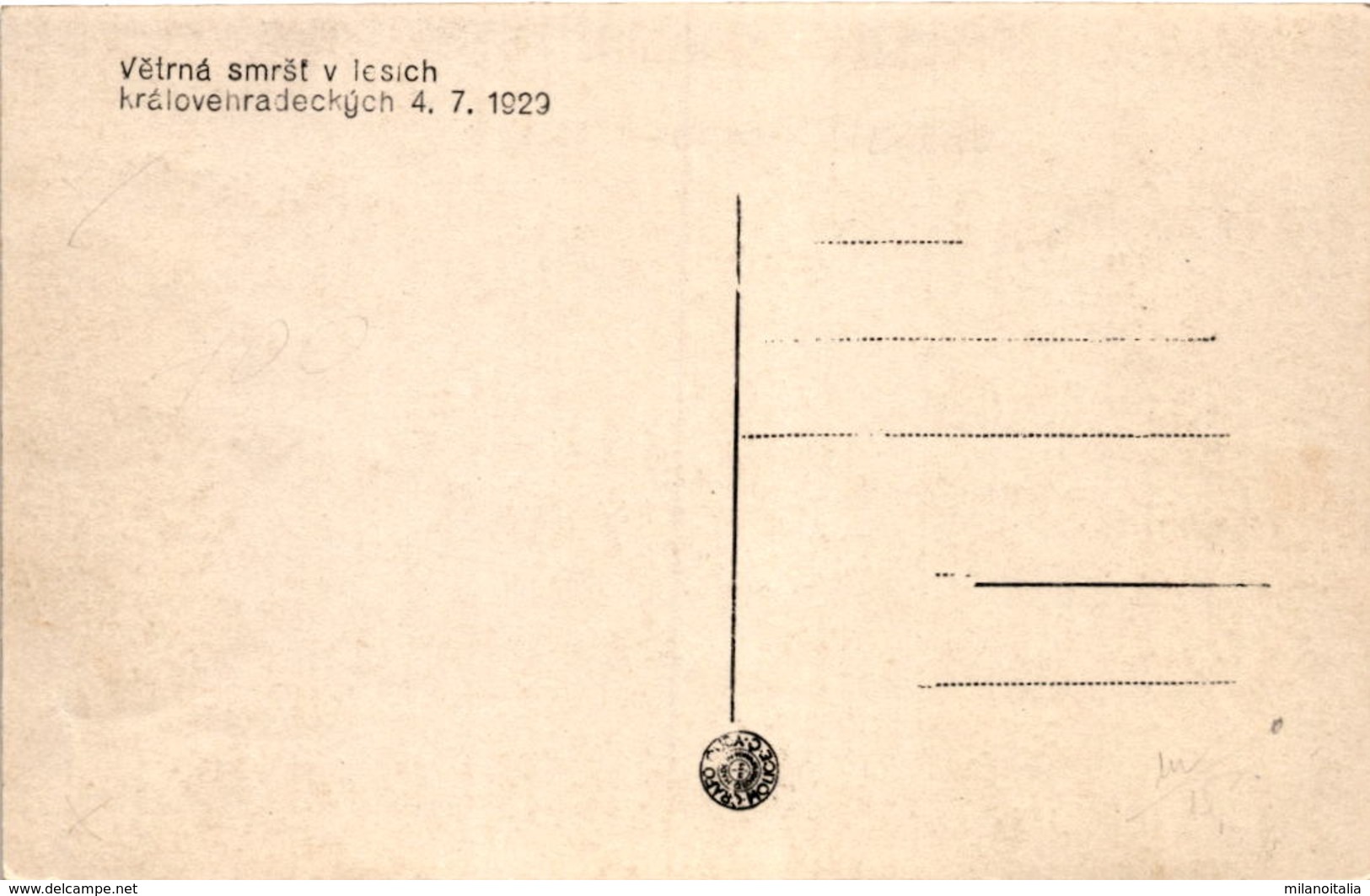 Vetrna Smrst V Lesich Kralovehradeckych 4. 7. 1929 - Tschechische Republik