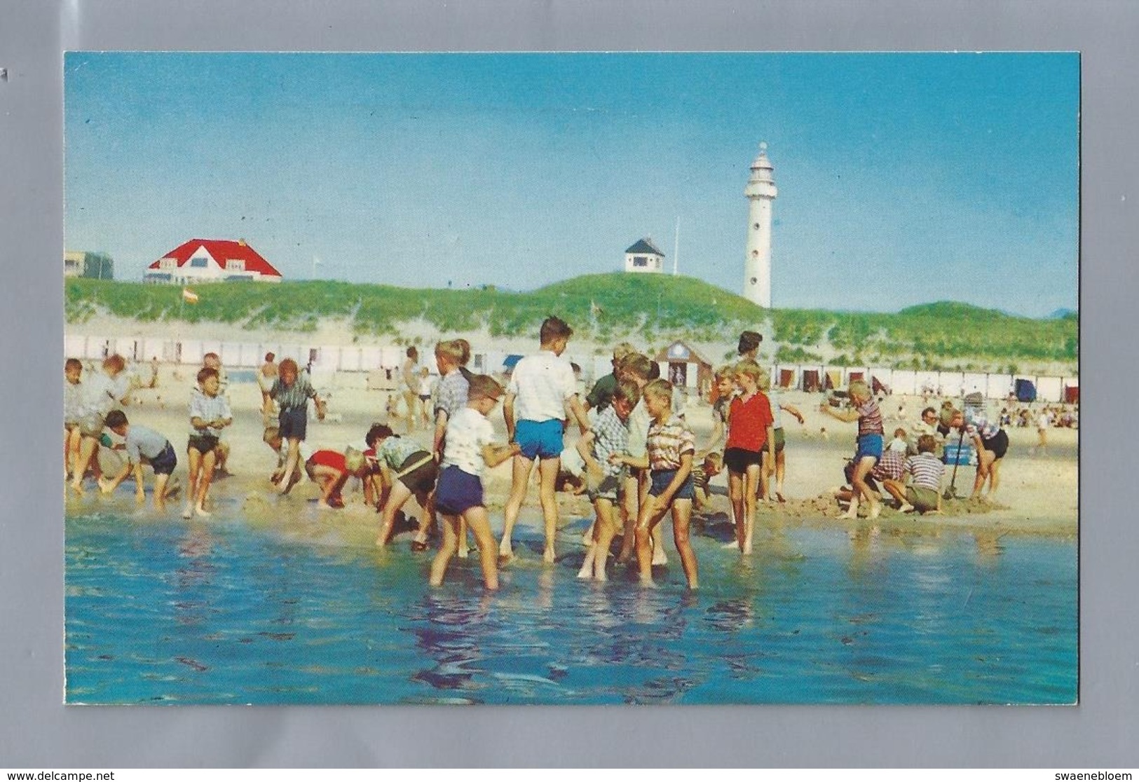 NL.- EGMOND AAN ZEE. Strand. Duinen. Vuurtoren. Gelopen 1967 - Egmond Aan Zee