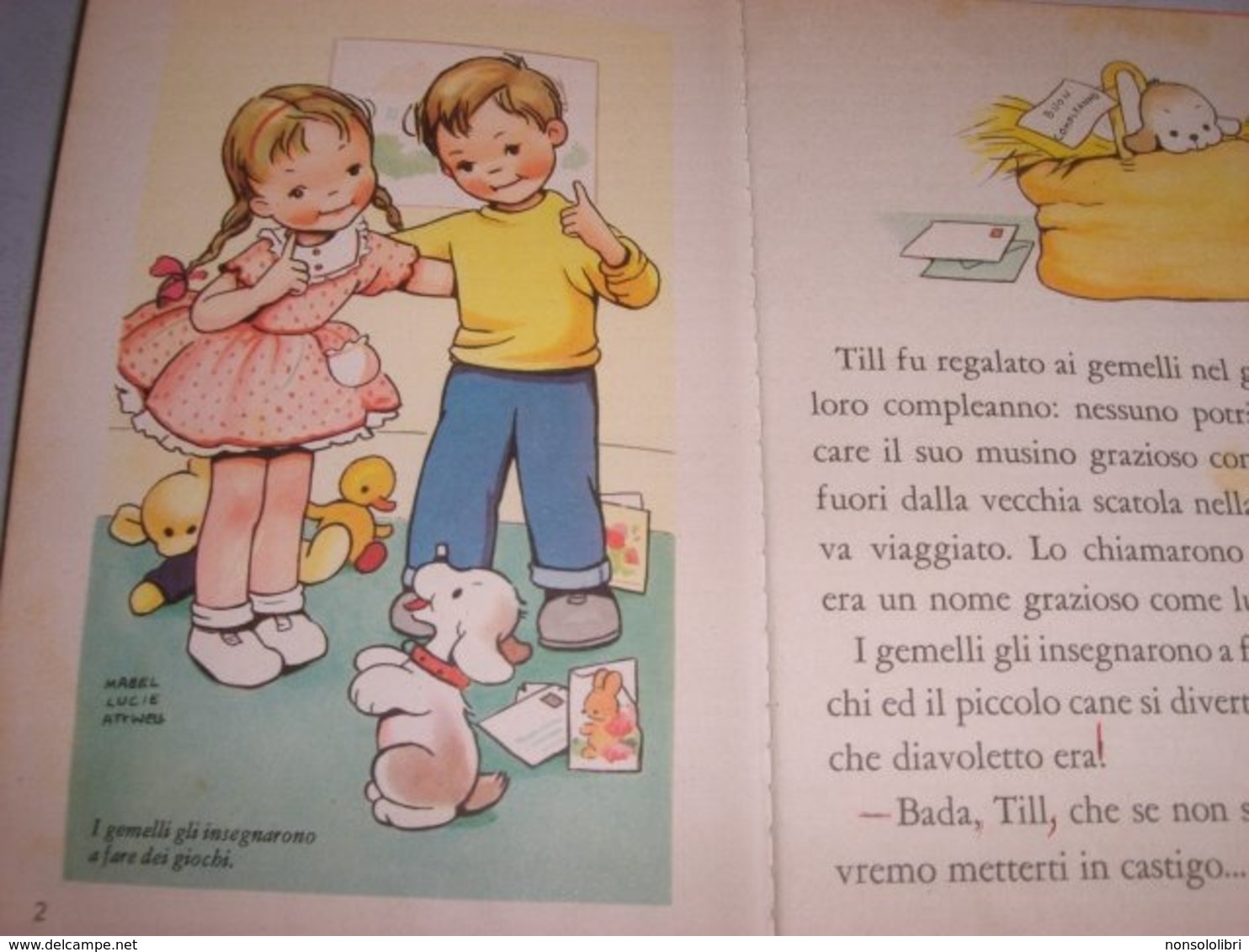 LIBRO TILL IL CUCCIOLO EDITRICE PICCOLI 1961 - Bambini