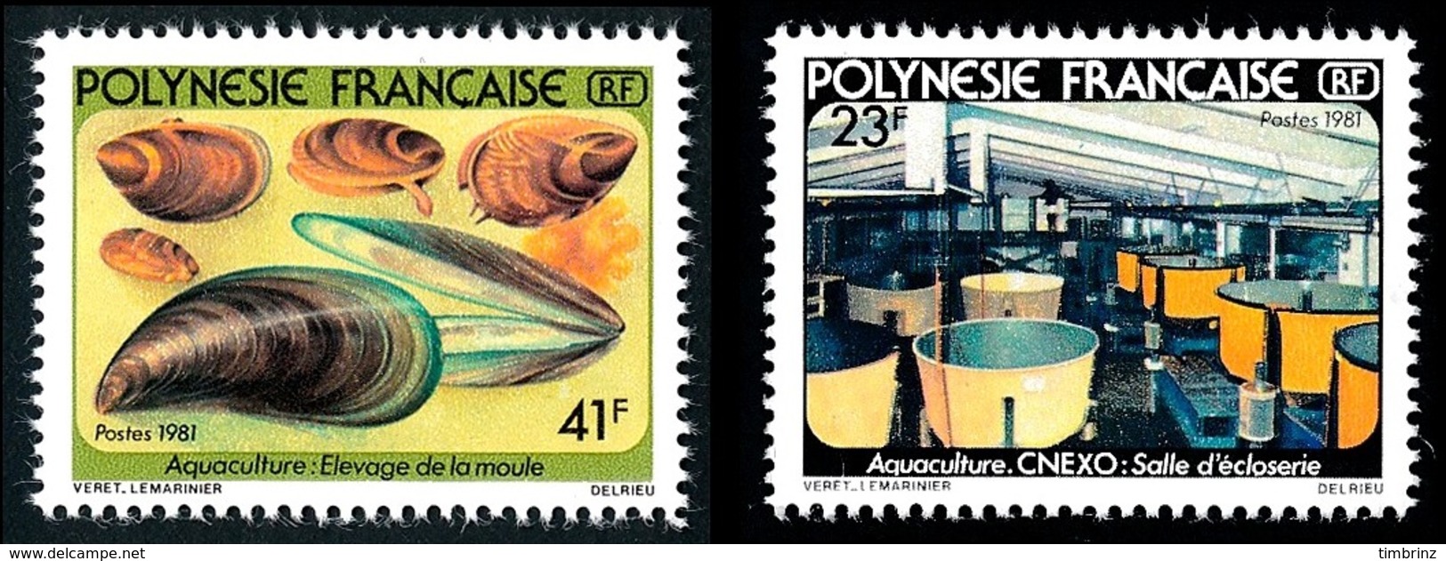 POLYNESIE 1981 - Yv. 163 Et 164 **   Cote= 4,00 EUR - Aquaculture : Moule (2 Val.)  ..Réf.POL24484 - Neufs