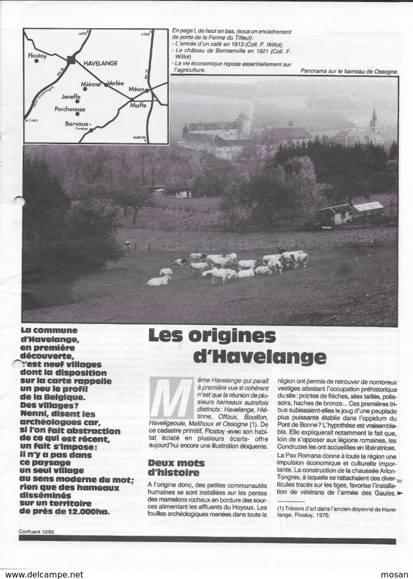 Havelange. Ossogne, Méan, Maffe, Verlée, Miécret, Jeneffe, Porcheresse, Barvaux, Flostoy, Tiré à Part Confluent - Bélgica