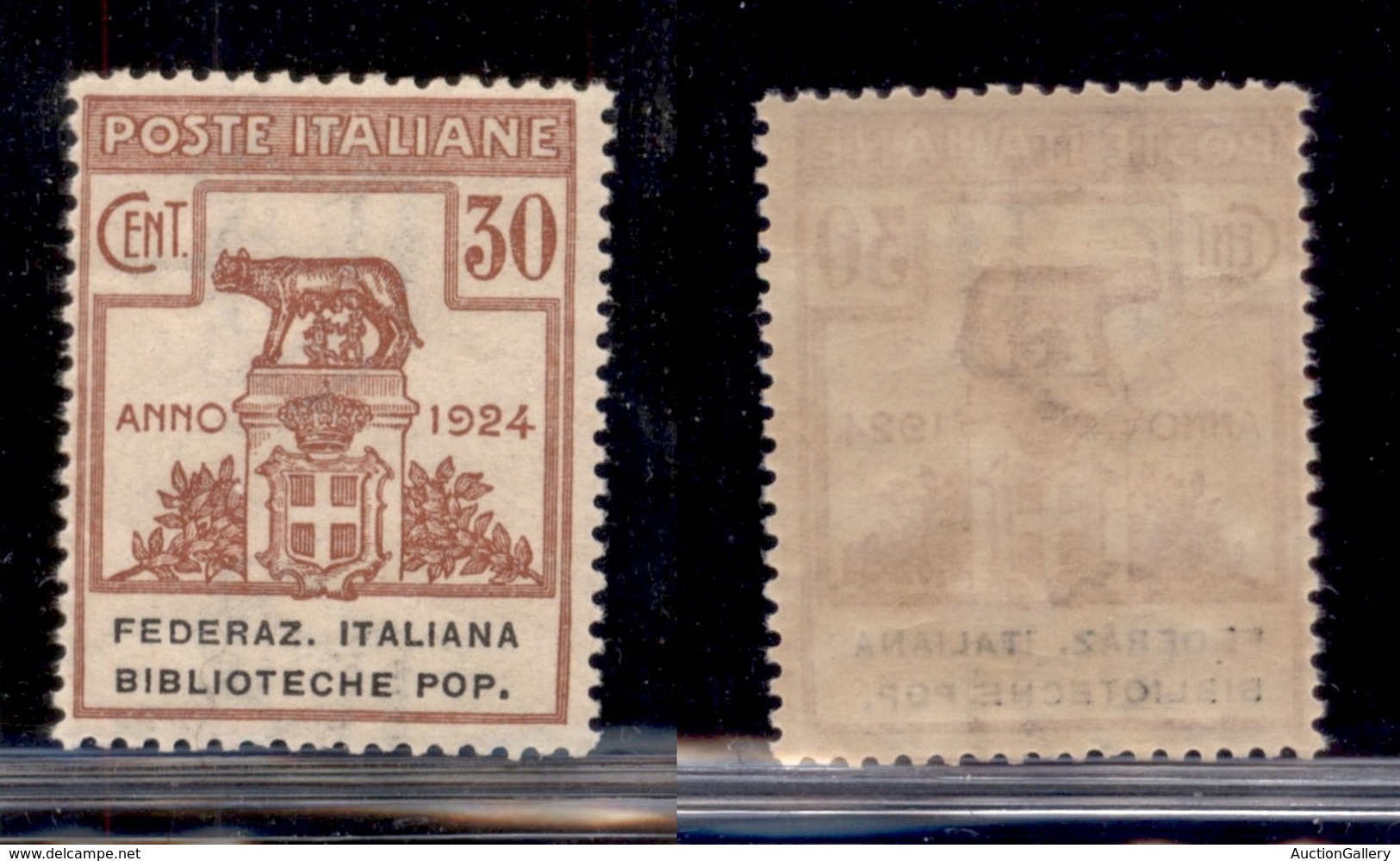Regno - Enti Parastatali - 1924 - 30 Cent Biblioteche Pop. (35) - Gomma Integra (325) - Sonstige & Ohne Zuordnung