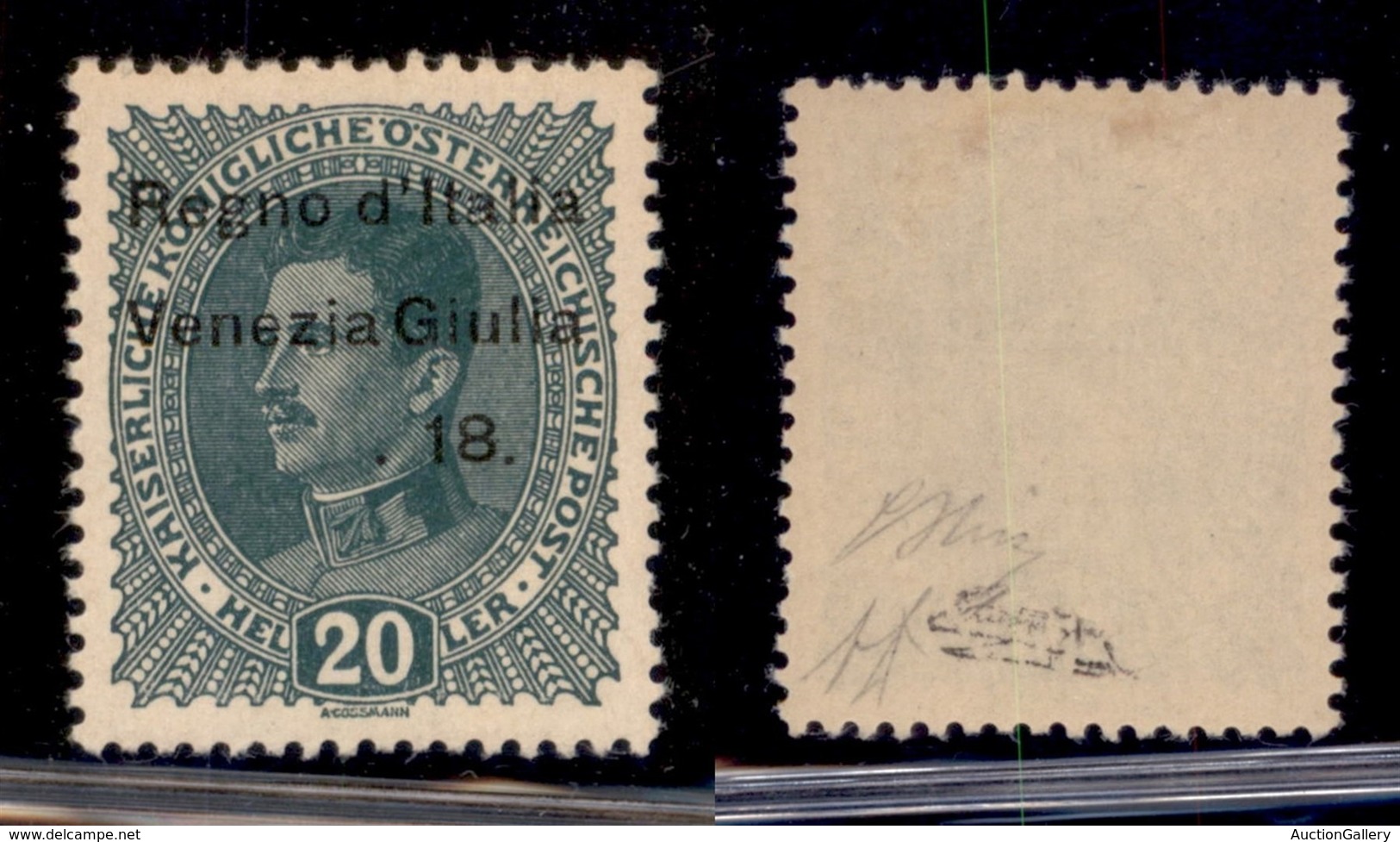 Occupazioni I Guerra Mondiale - Venezia Giulia - 1918 - 20 Heller (7t) Senza 3.XI - Gomma Originale - Oliva + Diena - Sonstige & Ohne Zuordnung