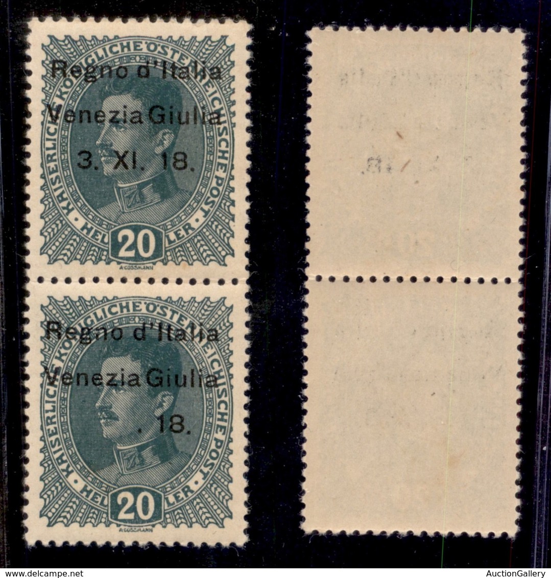 Occupazioni I Guerra Mondiale - Venezia Giulia - 1918 - 20 Heller (7 + 7t) - Coppia Verticale - Senza 3.XI In Basso - Go - Sonstige & Ohne Zuordnung