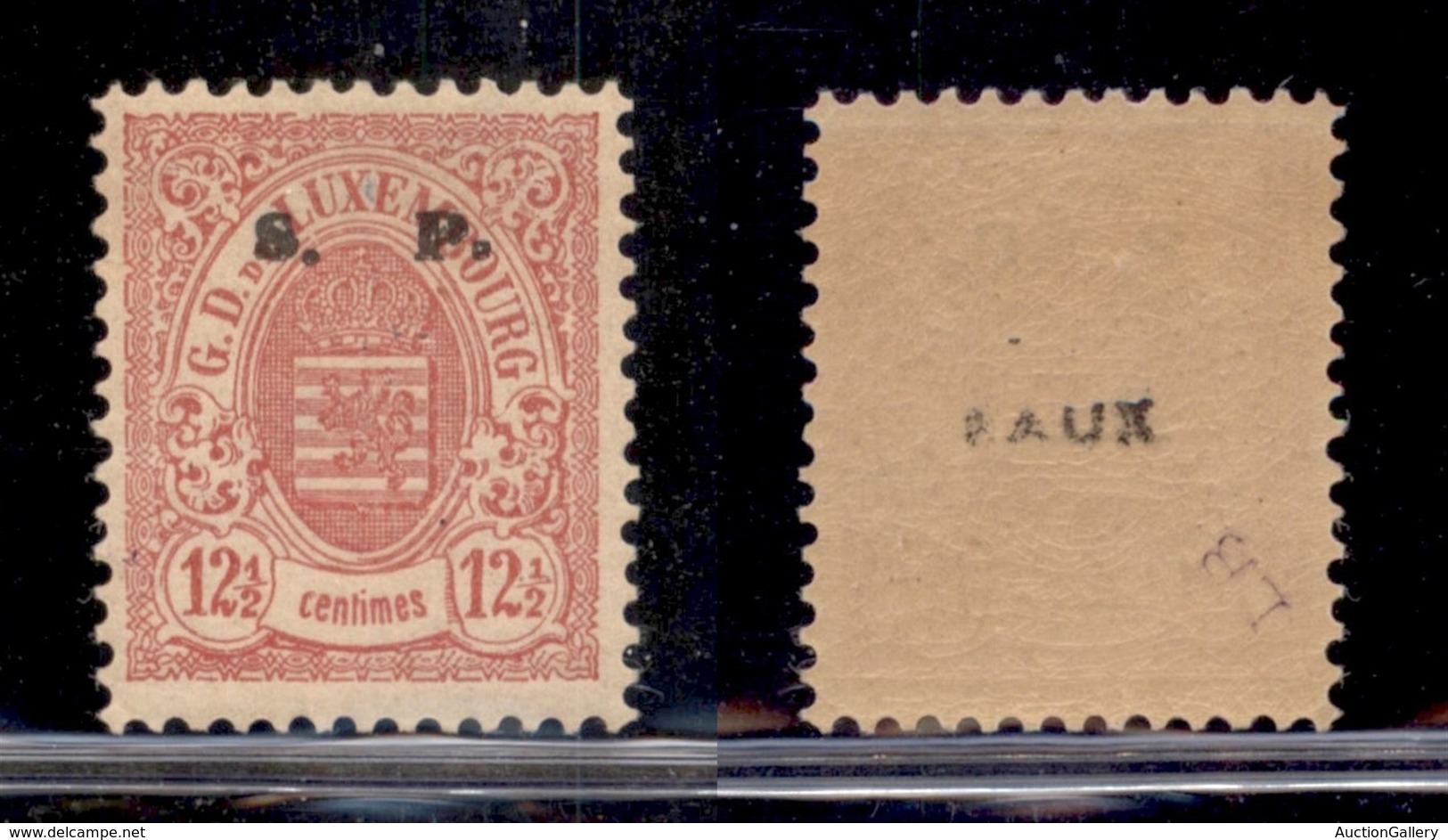 LUSSEMBURGO - 1884 - 12 1/2 Cent S.P. (31 II) - Gomma Originale - Other & Unclassified