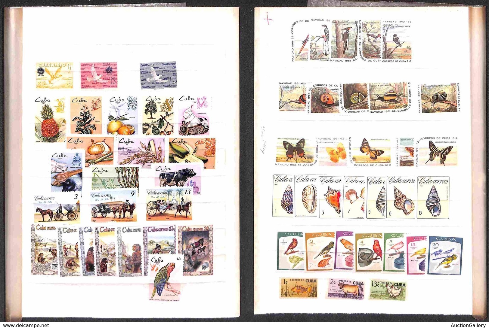 CUBA - 1960/1969 - Fauna - Insieme Di Serie Complete E Valori Del Periodo - Gomma Integra E Originale - Sonstige & Ohne Zuordnung