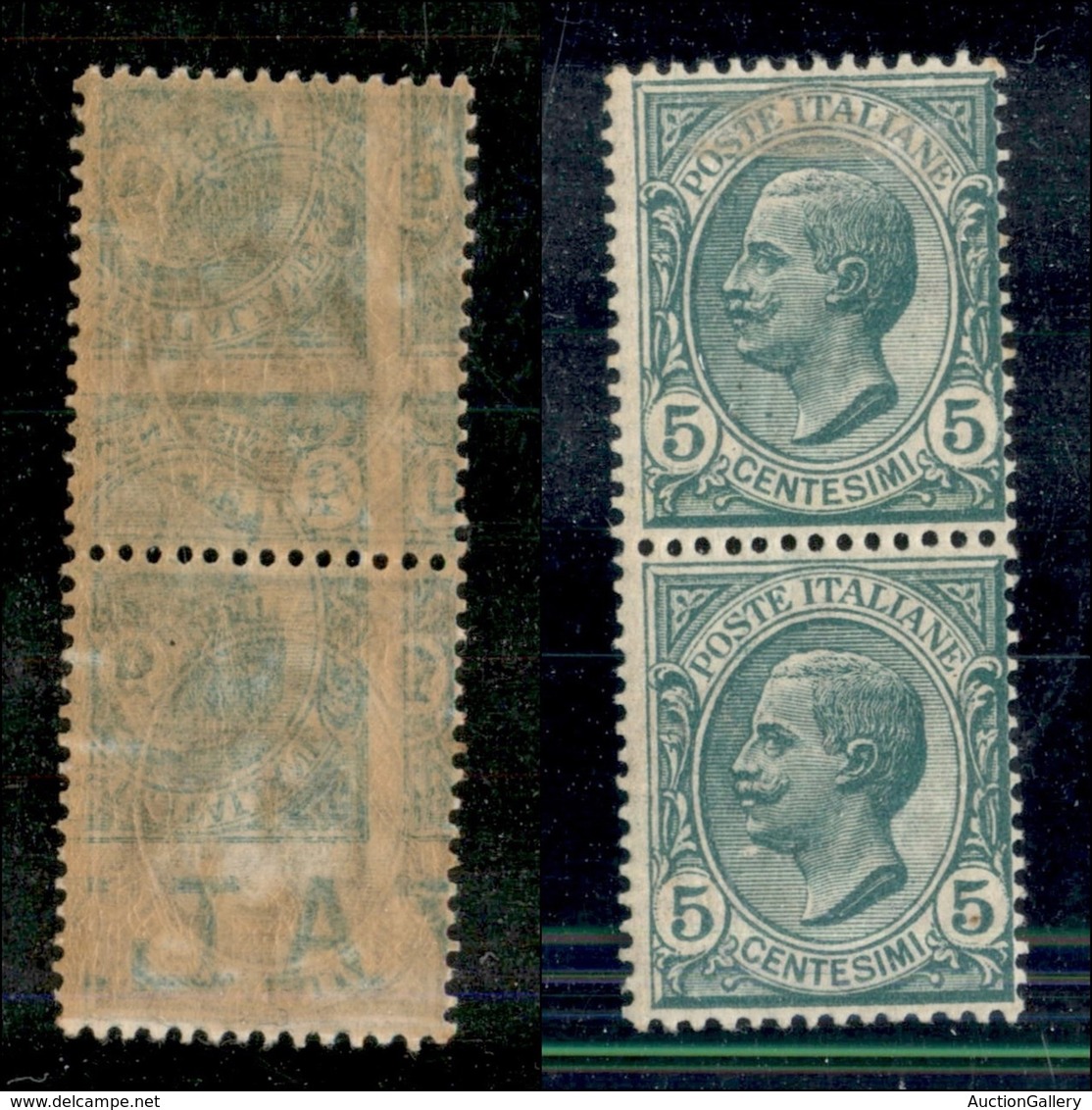 Regno - Posta Ordinaria - 1906 - 5 Cent Leoni (81s Varieta) - Coppia Verticale Con Doppio Decalco (uno Molto Spostato) - - Autres & Non Classés